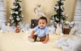 Laden Sie das Bild in den Galerie-Viewer, Fox Rolled Winter Christmas Vinyl Backdrop Designed By Blanca Perez - Foxbackdrop