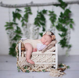 Laden Sie das Bild in den Galerie-Viewer, Fox Neugeborene Baby Holz Prop Bett Fotografie Fotografie Requisiten