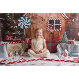 Laden Sie das Bild in den Galerie-Viewer, Fox Christmas Cabin Rolled Vinyl Photos Backdrops - Foxbackdrop