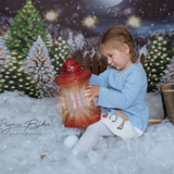 Laden Sie das Bild in den Galerie-Viewer, Fox Rolled Night Christmas Children Photos Vinyl Backdrop - Foxbackdrop