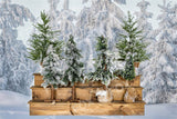 Laden Sie das Bild in den Galerie-Viewer, Fox Winter Christmas Tree Fabric/Vinyl Photography Backdrop