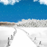 Laden Sie das Bild in den Galerie-Viewer, Fox Rolled Winter Snow Bridge Vinyl Photography Backdrop-Foxbackdrop