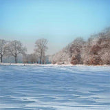 Laden Sie das Bild in den Galerie-Viewer, Fox Rolled Cold Winter Snow Vinyl Photography Backdrop-Foxbackdrop