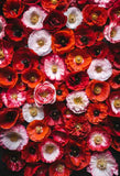 Laden Sie das Bild in den Galerie-Viewer, Fox Rolled Red Flowers Vinyl Photography Backdrop-Foxbackdrop