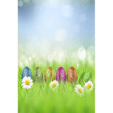 Laden Sie das Bild in den Galerie-Viewer, Fox Rolled Vinyl Colorful Eggs Easter Photography Backdrop-Foxbackdrop