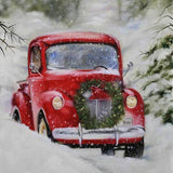 Laden Sie das Bild in den Galerie-Viewer, Fox Rolled Snow Christmas Red Car Vinyl Photography Backdrop-Foxbackdrop