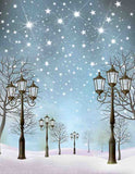 Laden Sie das Bild in den Galerie-Viewer, Fox Rolled Winter Snow Lights Vinyl Photo Backdrop-Foxbackdrop