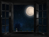 Laden Sie das Bild in den Galerie-Viewer, Fox Roll Night Moon Window Vinyl Photos Backdrop-Foxbackdrop