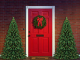 Laden Sie das Bild in den Galerie-Viewer, Fox Rolled Front Door Christmas Trees Vinyl Backdrop - Foxbackdrop