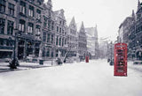 Laden Sie das Bild in den Galerie-Viewer, Fox Rolled Winter Snow Avenue Building Vinyl Backdrops-Foxbackdrop