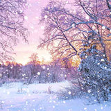 Laden Sie das Bild in den Galerie-Viewer, Fox Rolled Winter Snow Trees Vinyl Photo Backdrop-Foxbackdrop