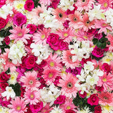 Laden Sie das Bild in den Galerie-Viewer, Fox Rolled Colorful Flowers Vinyl Photography Backdrops-Foxbackdrop