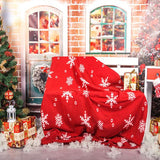 Laden Sie das Bild in den Galerie-Viewer, Fox Christmas Festival Children Vinyl Photos Backdrop-Foxbackdrop