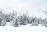 Laden Sie das Bild in den Galerie-Viewer, Fox Rolled Winter Snow Trees Vinyl Photography Backdrop-Foxbackdrop