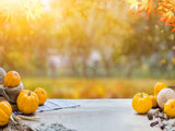 Laden Sie das Bild in den Galerie-Viewer, Fox Thanksgiving Yellow Trees Pumkin Vinyl Backdrop-Foxbackdrop