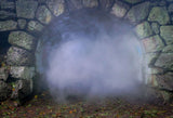 Laden Sie das Bild in den Galerie-Viewer, Fox Stone Cave Smoke Vinyl Photos Backdrop-Foxbackdrop