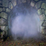 Laden Sie das Bild in den Galerie-Viewer, Fox Stone Cave Smoke Vinyl Photos Backdrop-Foxbackdrop