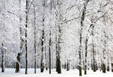 Laden Sie das Bild in den Galerie-Viewer, Fox Rolled Winter Snow Trees Vinyl Photos Backdrop-Foxbackdrop