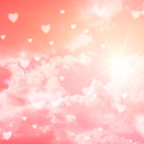 Laden Sie das Bild in den Galerie-Viewer, Fox Rolled Pink Sky Shine Vinyl Valentine Backdrop-Foxbackdrop