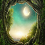 Laden Sie das Bild in den Galerie-Viewer, Fox Jungle Forest River Moon Vinyl Photos Backdrop-Foxbackdrop