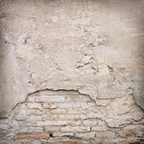 Laden Sie das Bild in den Galerie-Viewer, Fox Vintage Worn Stone Brick Wall Vinyl Backdrop-Foxbackdrop