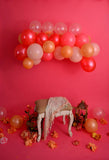 Laden Sie das Bild in den Galerie-Viewer, Fox Children Birthday Pink Balloons Vinyl Photo Backdrop Design By Neiva-Foxbackdrop