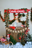 Laden Sie das Bild in den Galerie-Viewer, Fox Christmas Wood Stand Vinyl Photos Backdrop - Foxbackdrop