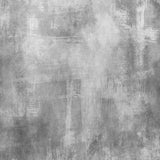 Laden Sie das Bild in den Galerie-Viewer, Fox Rolled Vinyl Light Grey Abstract Photo Backdrop-Foxbackdrop