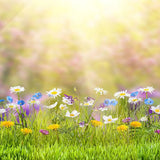 Laden Sie das Bild in den Galerie-Viewer, Fox Rolled Small Flowers Sunshine Vinyl Backdrop for Photography-Foxbackdrop